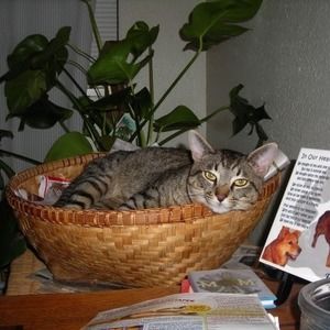 Meet your Posher, Hilda